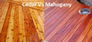cedar vs mahogany