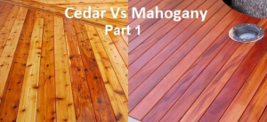 cedar vs mahogany part 1